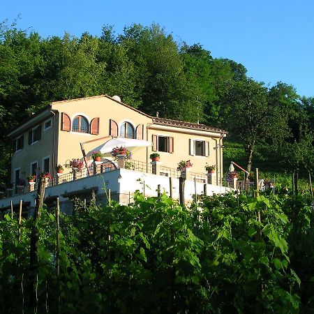Galleria Ars Apua Bed & Breakfast Carrara Exterior photo